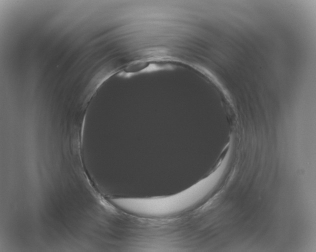 X0000066121289200603311526