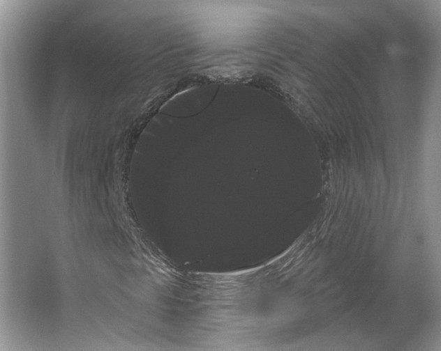 X0000066121297200603311525