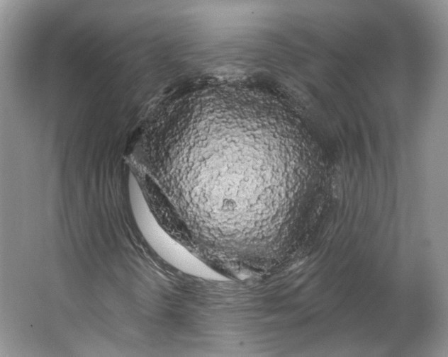 X0000066121298200603311525