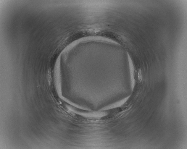 X0000066121299200603311525