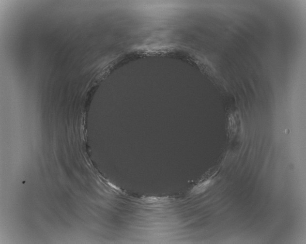 X0000066121300200603311525