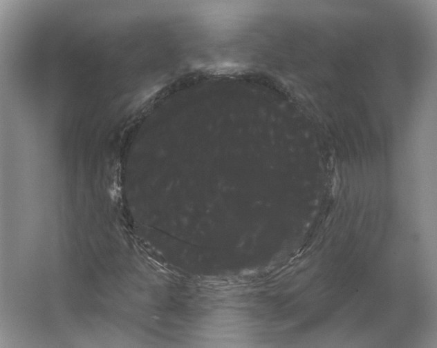 X0000066121301200603311525