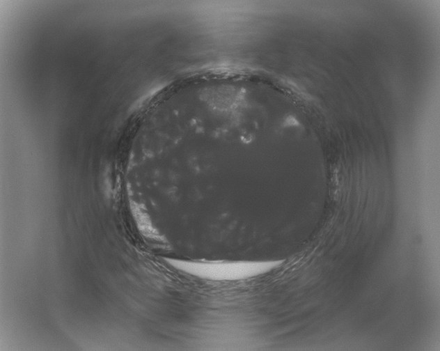 X0000066121302200603311525