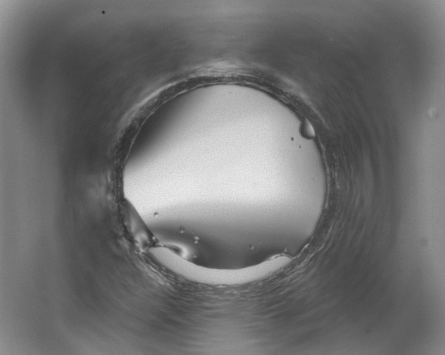 X0000066121304200603311525