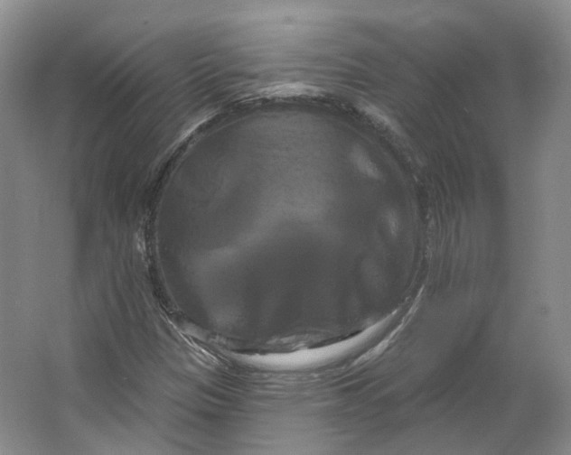 X0000066121305200603311525