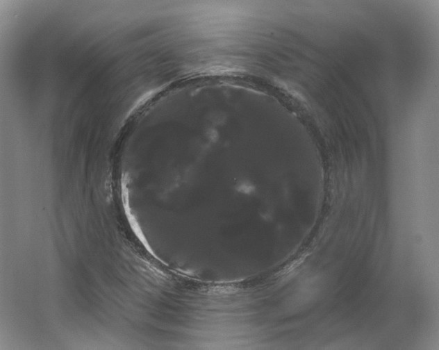 X0000066121306200603311525