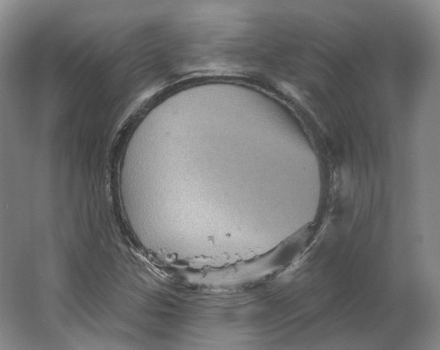 X0000066121307200603311525