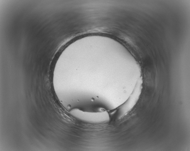 X0000066121308200603311525