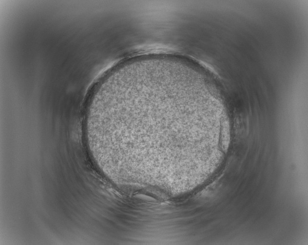 X0000066121309200603311525