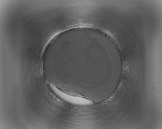 X0000066121310200603311525