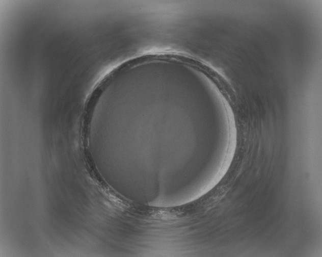 X0000066121311200603311525