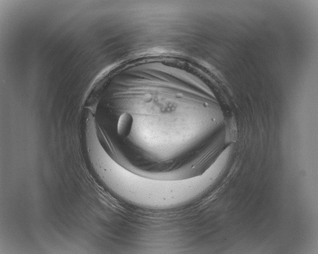 X0000066121314200603311525