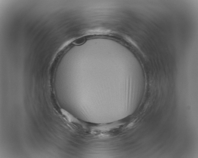 X0000066121315200603311525