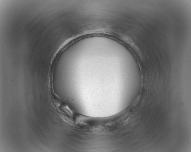 X0000066121316200603311525