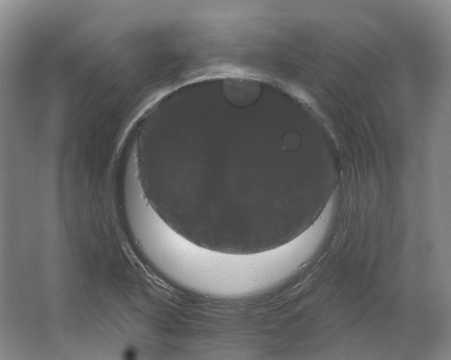 X0000066121318200603311525