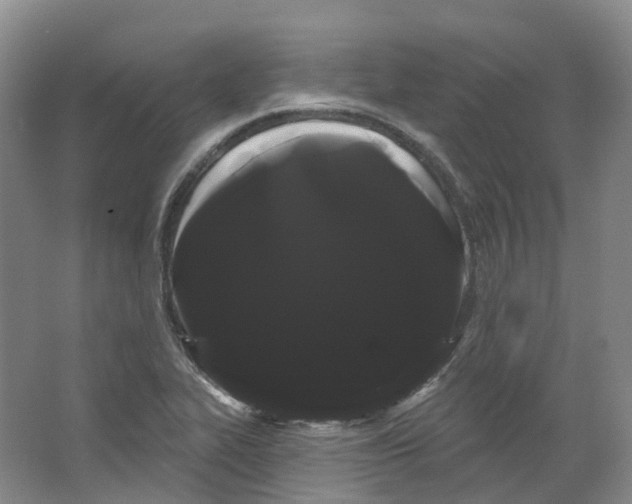 X0000066121319200603311525