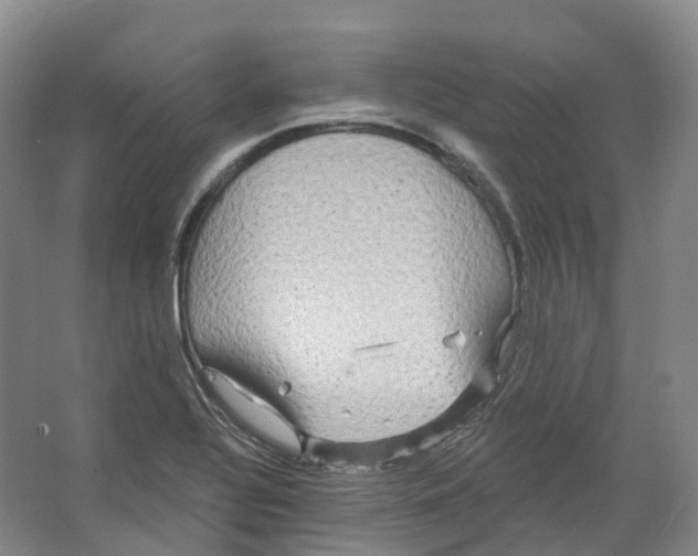 X0000066121320200603311525