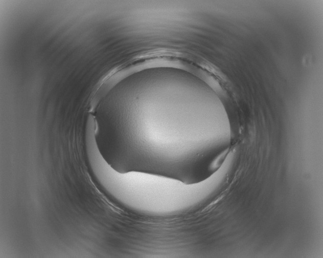 X0000066121321200603311525