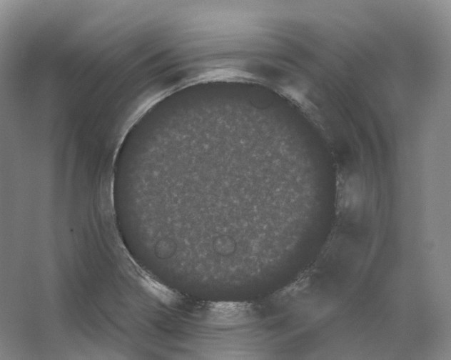 X0000066121322200603311525