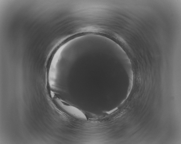 X0000066121323200603311525