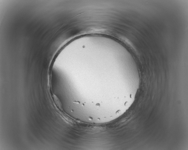 X0000066121324200603311525