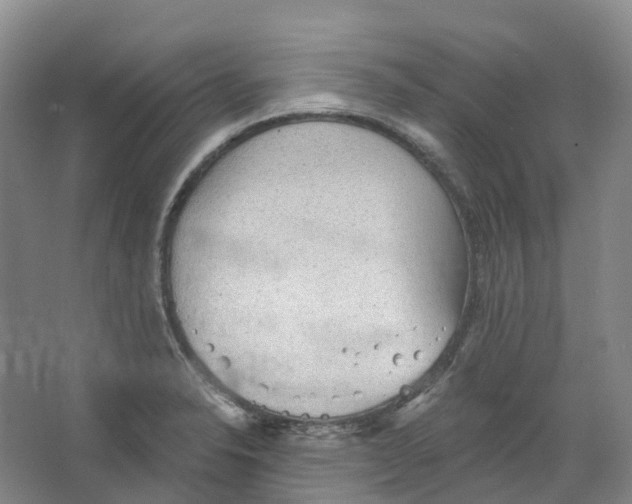 X0000066121326200603311525