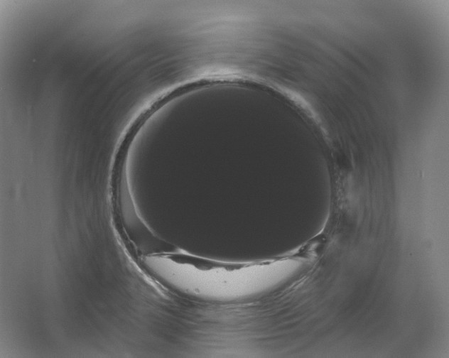 X0000066121327200603311525