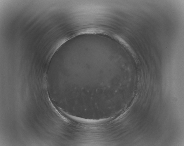 X0000066121329200603311525