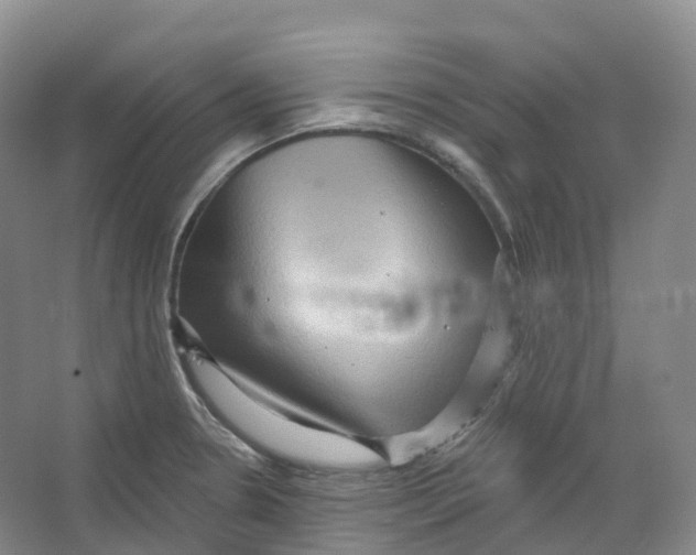 X0000066121330200603311525