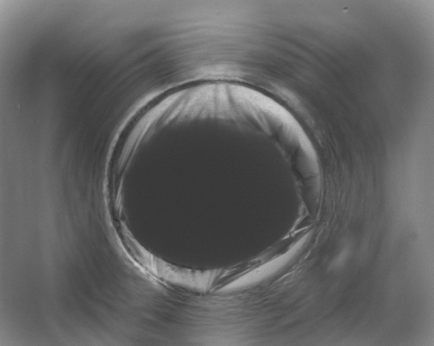 X0000066121331200603311525