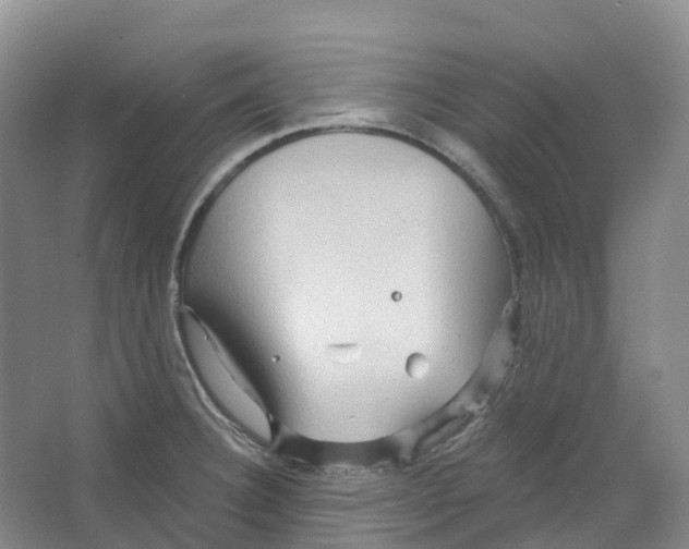 X0000066121332200603311525