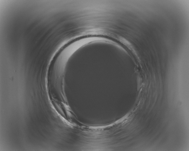 X0000066121334200603311526