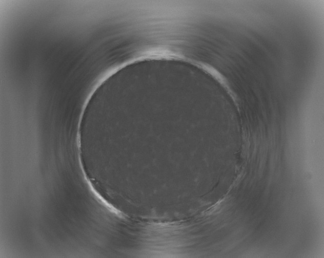 X0000066121335200603311526