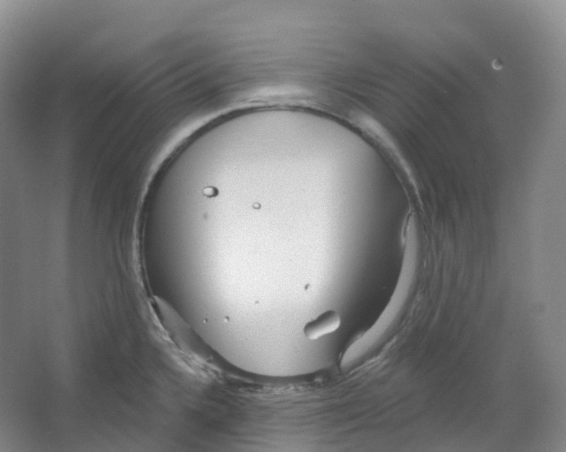 X0000066121336200603311526