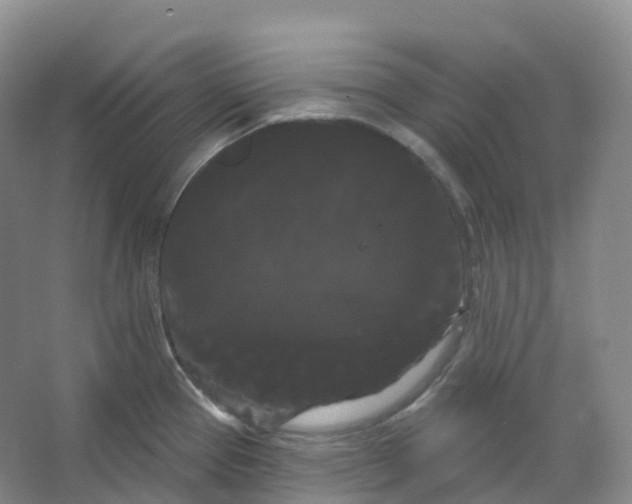 X0000066121337200603311526