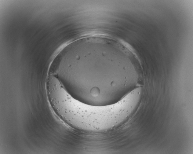 X0000066121338200603311526