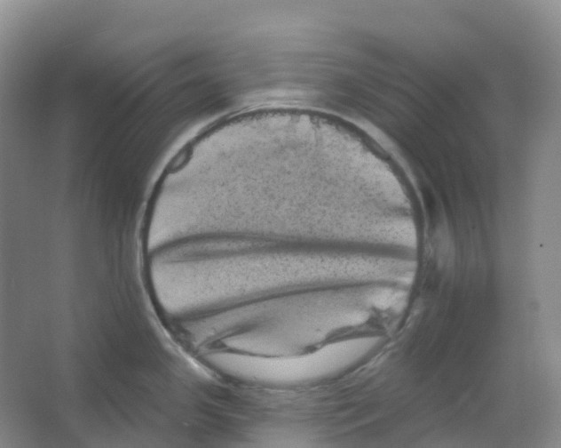 X0000066121341200603311526