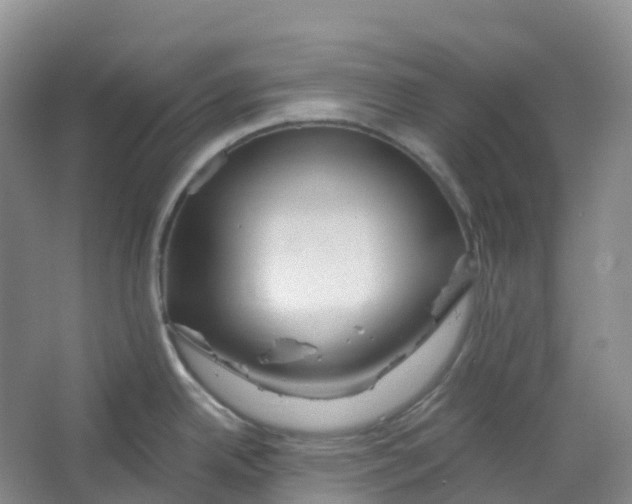 X0000066121342200603311526