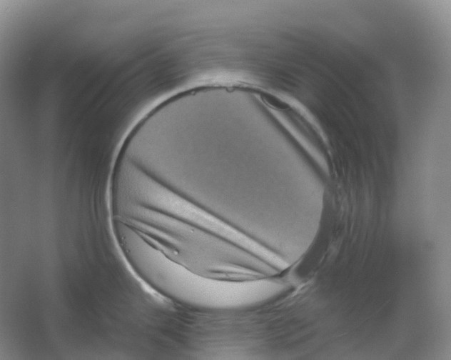 X0000066121343200603311526