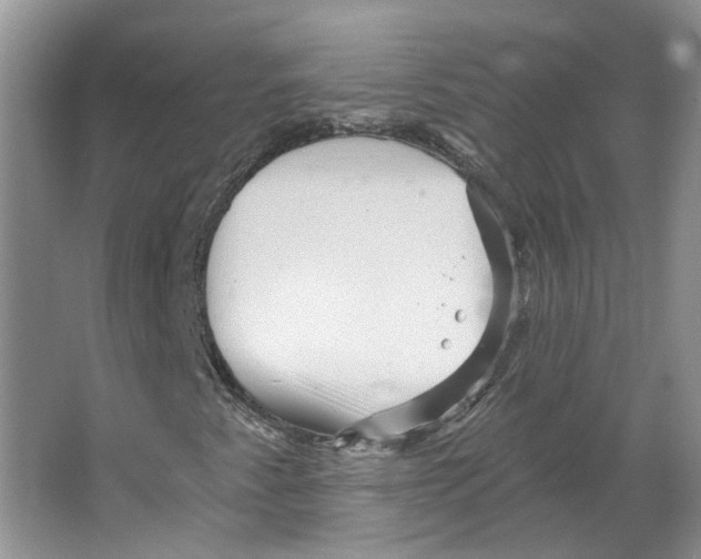 X0000066121345200603311525