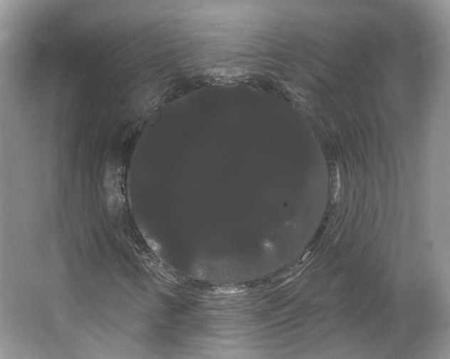 X0000066121346200603311525