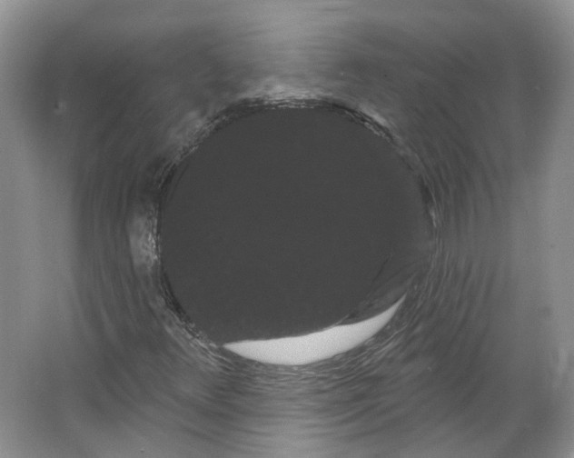 X0000066121348200603311525