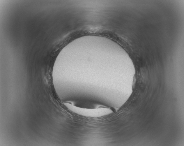 X0000066121349200603311525