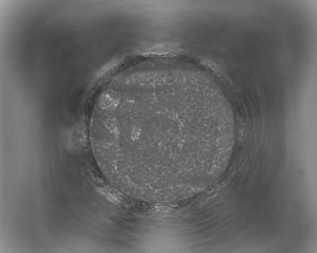 X0000066121350200603311525