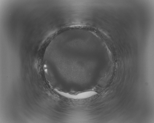 X0000066121351200603311525