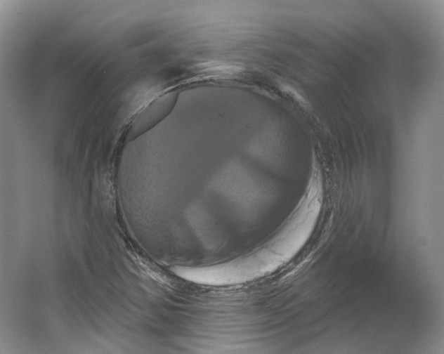 X0000066121354200603311525