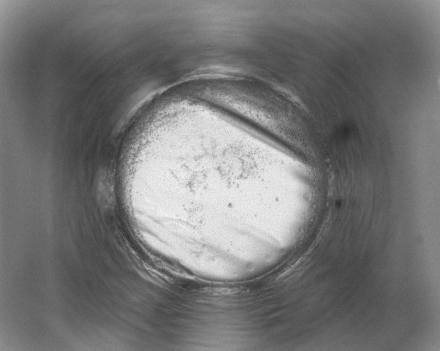 X0000066121355200603311525