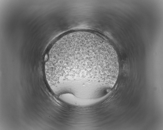 X0000066121356200603311525