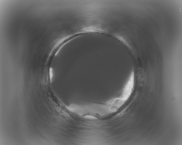 X0000066121358200603311525