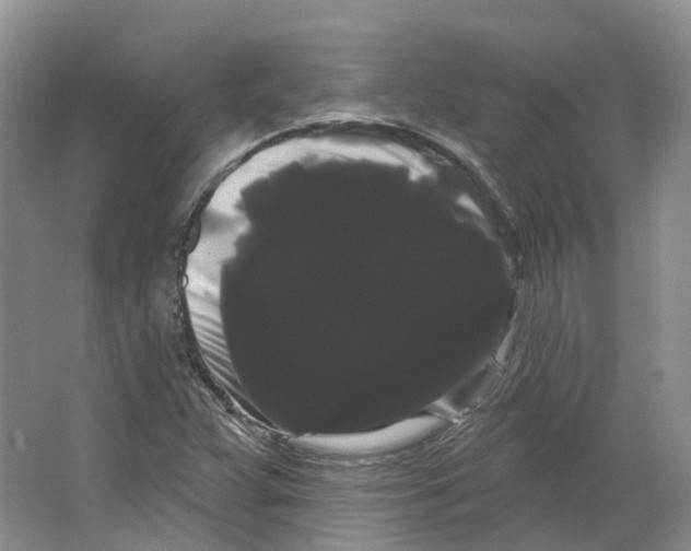 X0000066121359200603311525